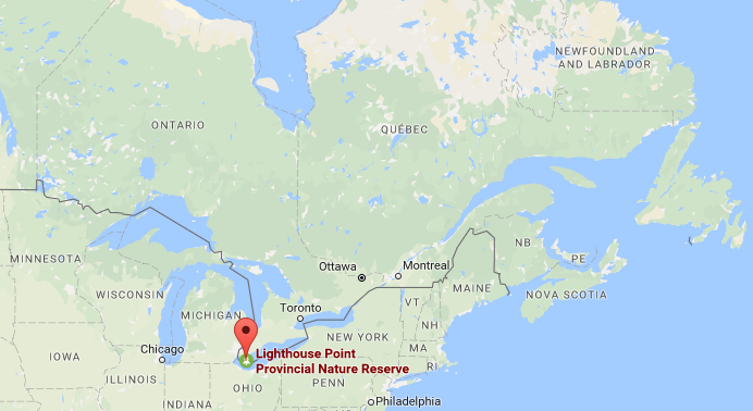 温哥华房产网 - 在加拿大【最北最南最西最东】